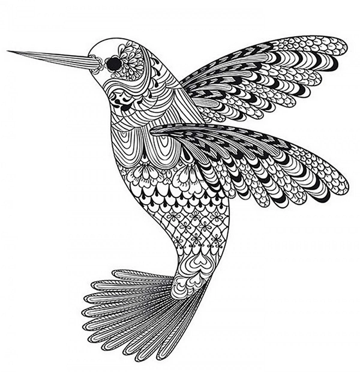 Колибри рисунок Зентангл. Красивое животное