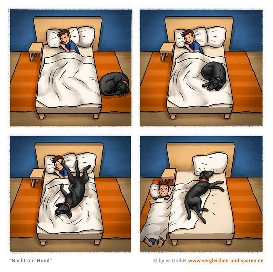 Комиксы про собак. Прикольная картинка