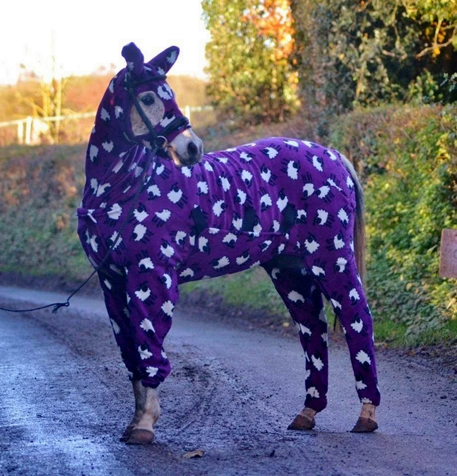 Конь в пижаме. Картинка