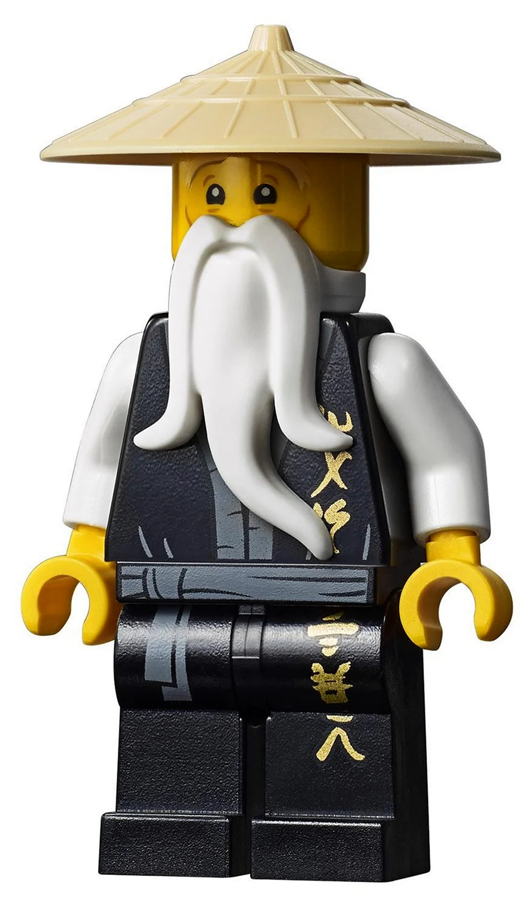 Конструктор LEGO Ninjago 70670 монастырь Кружитцу. Картинка из мультфильма