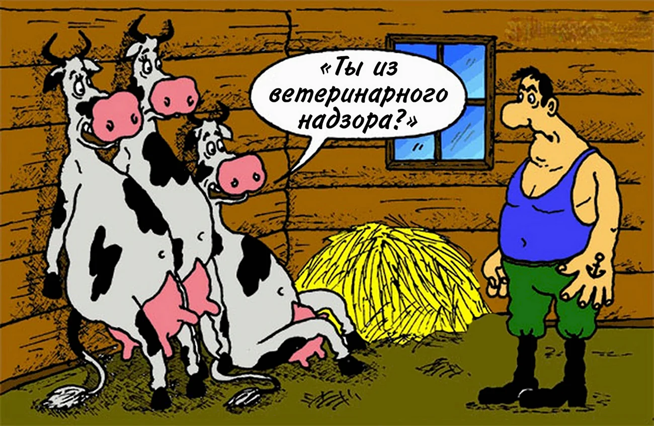 Корова карикатура. Прикольная картинка