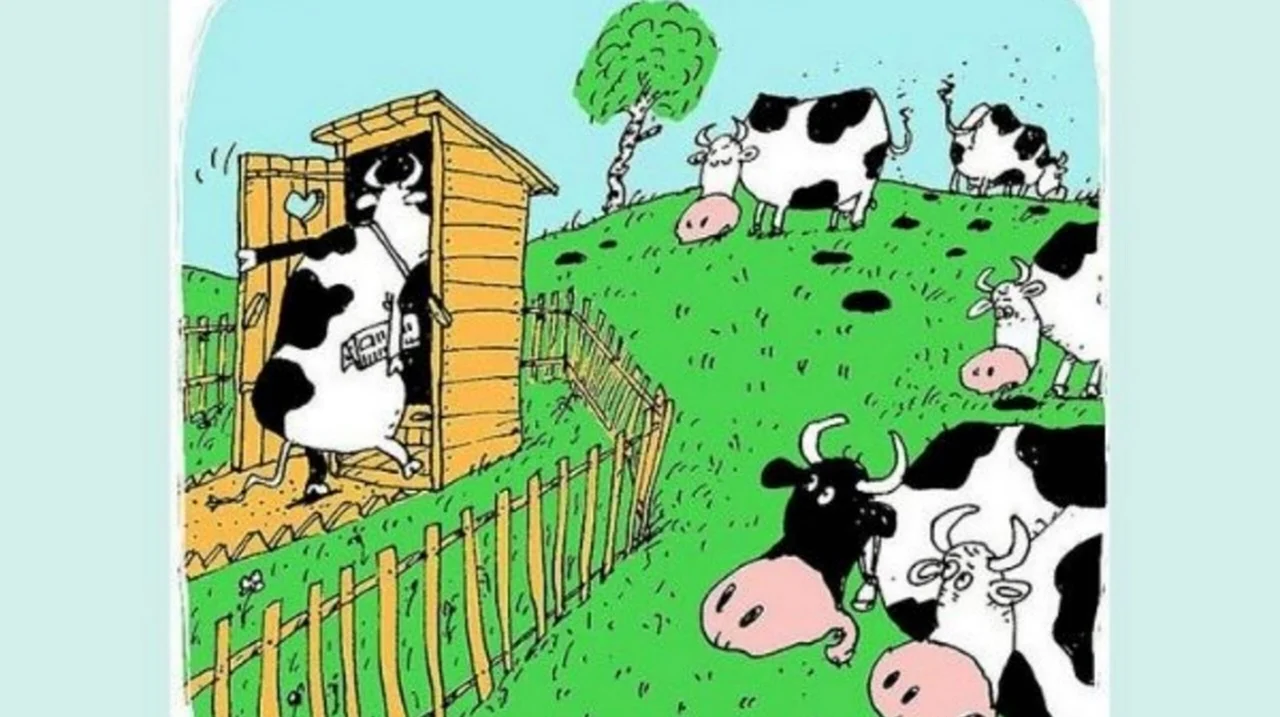 Корова карикатура. Картинка