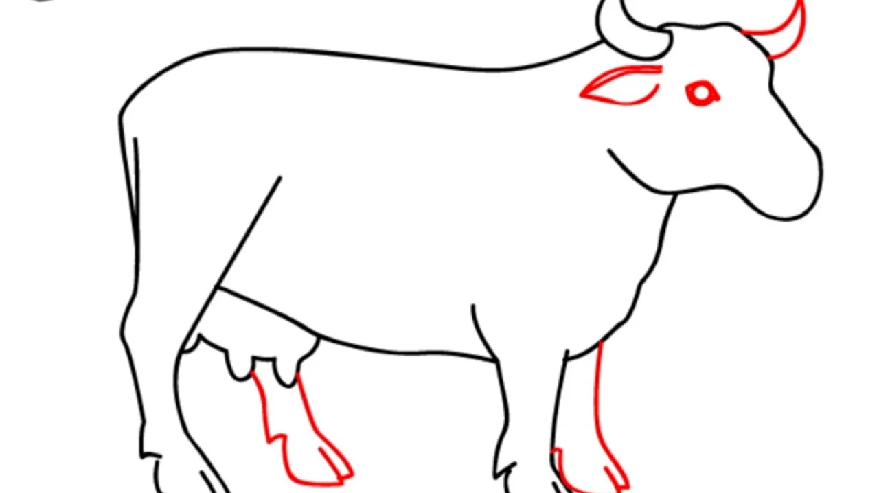 Корова рисунок карандашом. Для срисовки