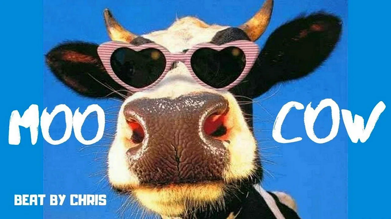 Корова в очках