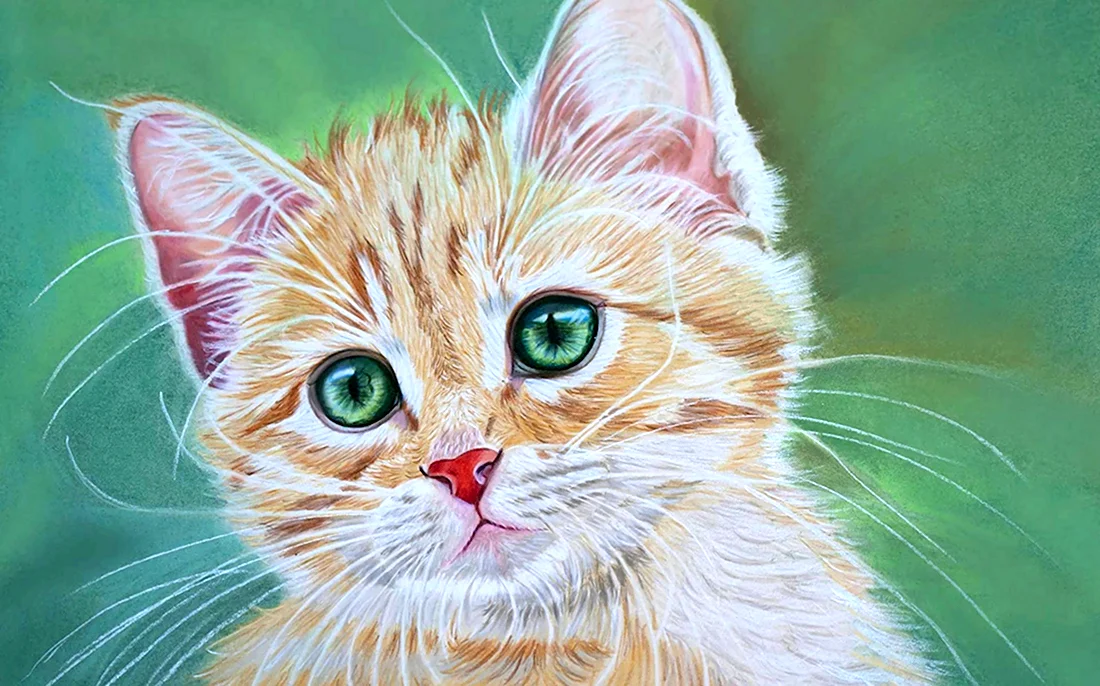 Кошка рисунок. Красивые картинки животных