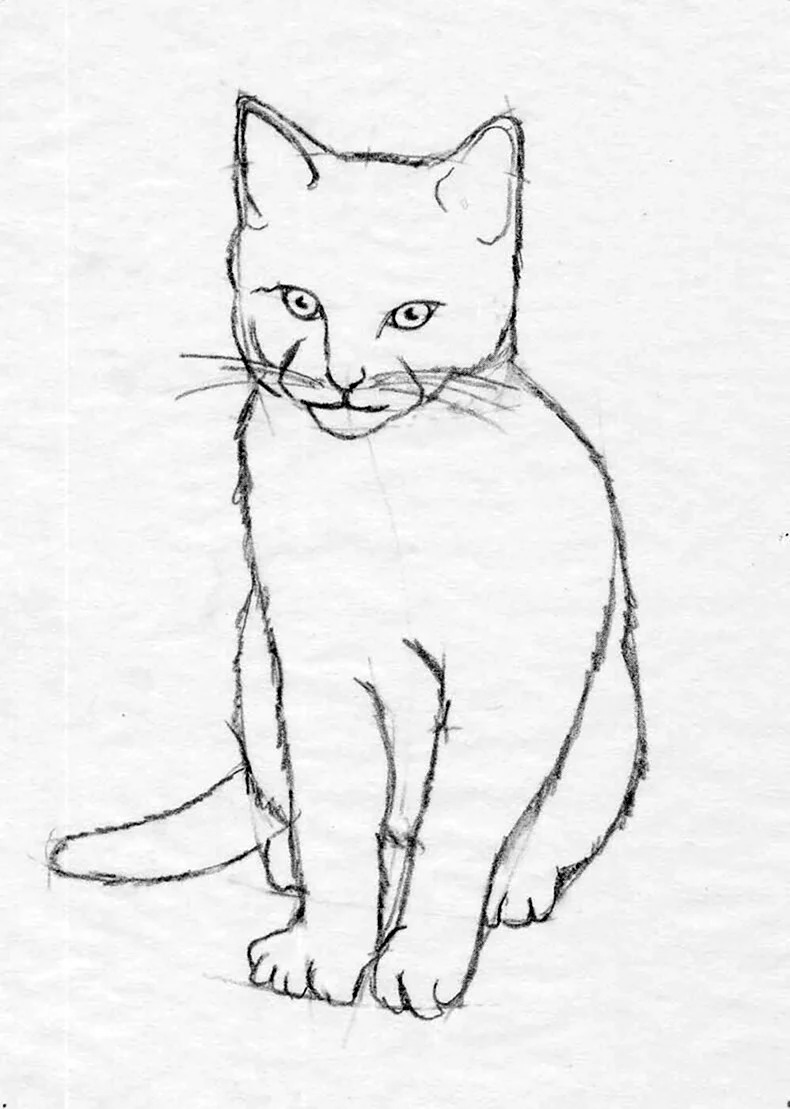 Кошка рисунок карандашом. Для срисовки
