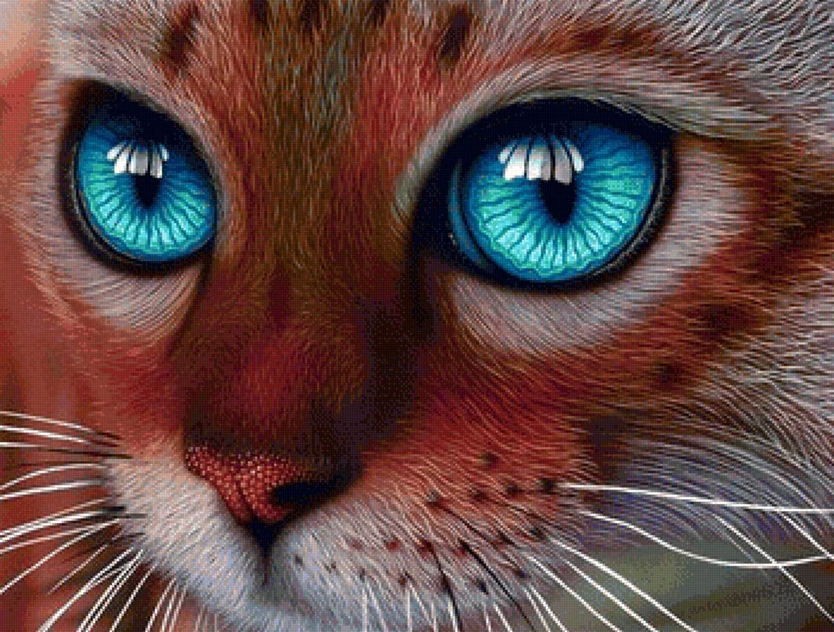 Кошка с красивыми глазами. Для срисовки