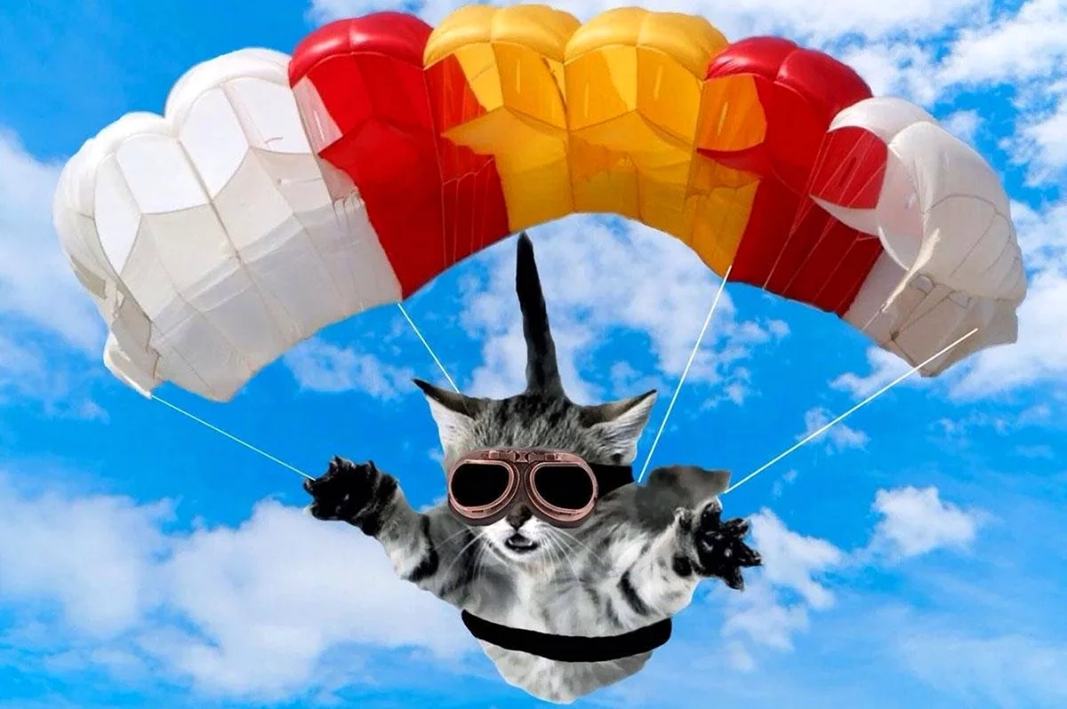 Кошка с парашютом. Поздравление