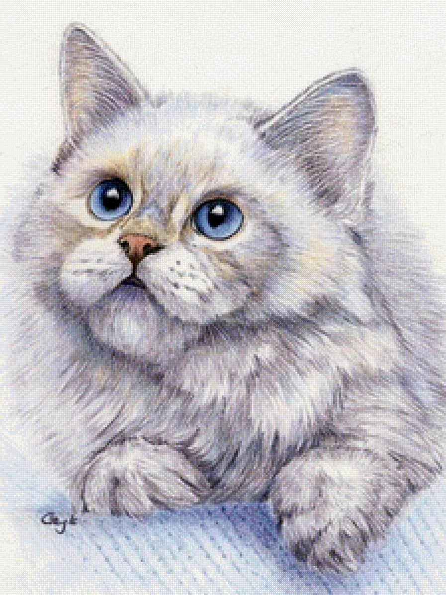 Кошка цветными карандашами. Красивые картинки животных