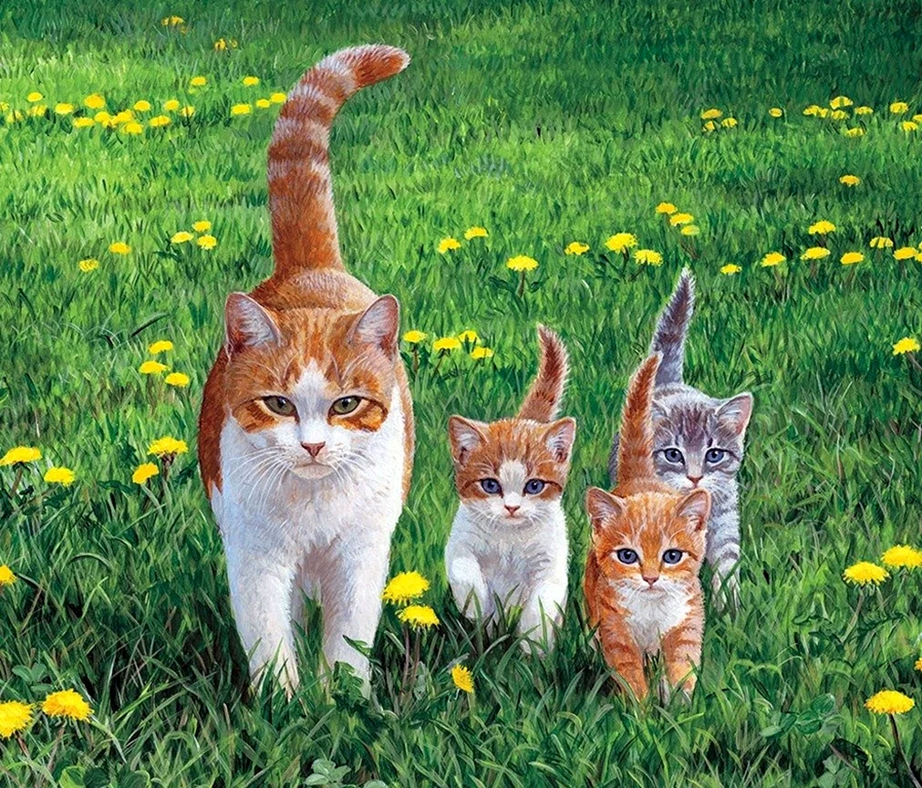 Кошки Персис Клейтон Вейерс картины. Красивые картинки животных