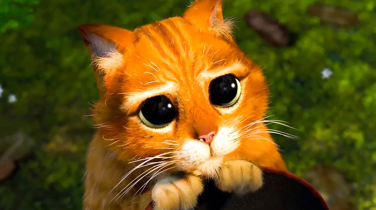 Кот из Шрека с глазами анимация. Красивое животное