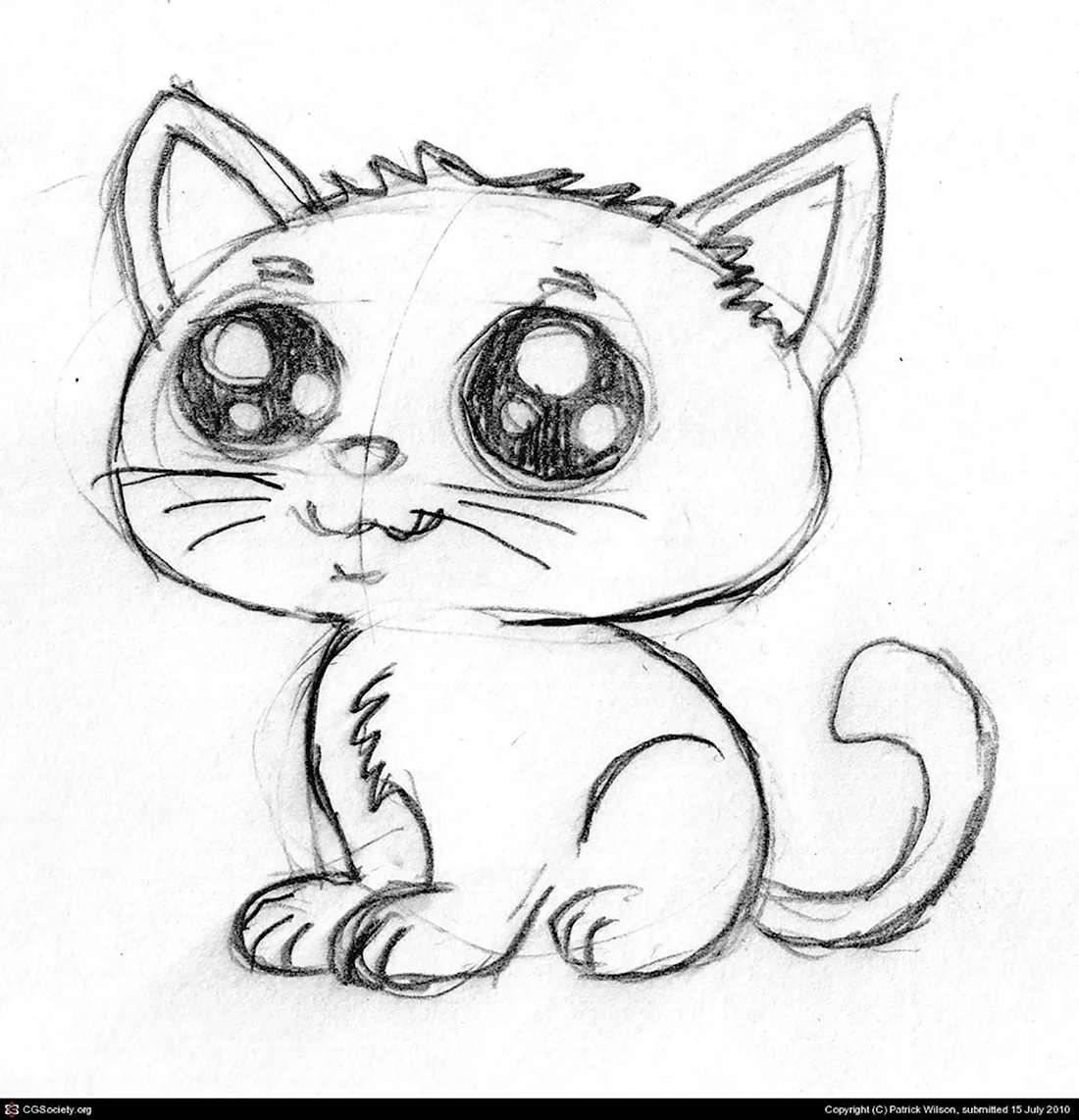 Кот карандашом для срисовки. Красивые картинки животных