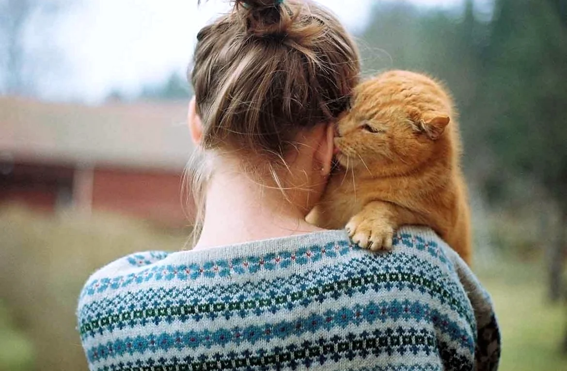 Кот обнимает. Красивая девушка
