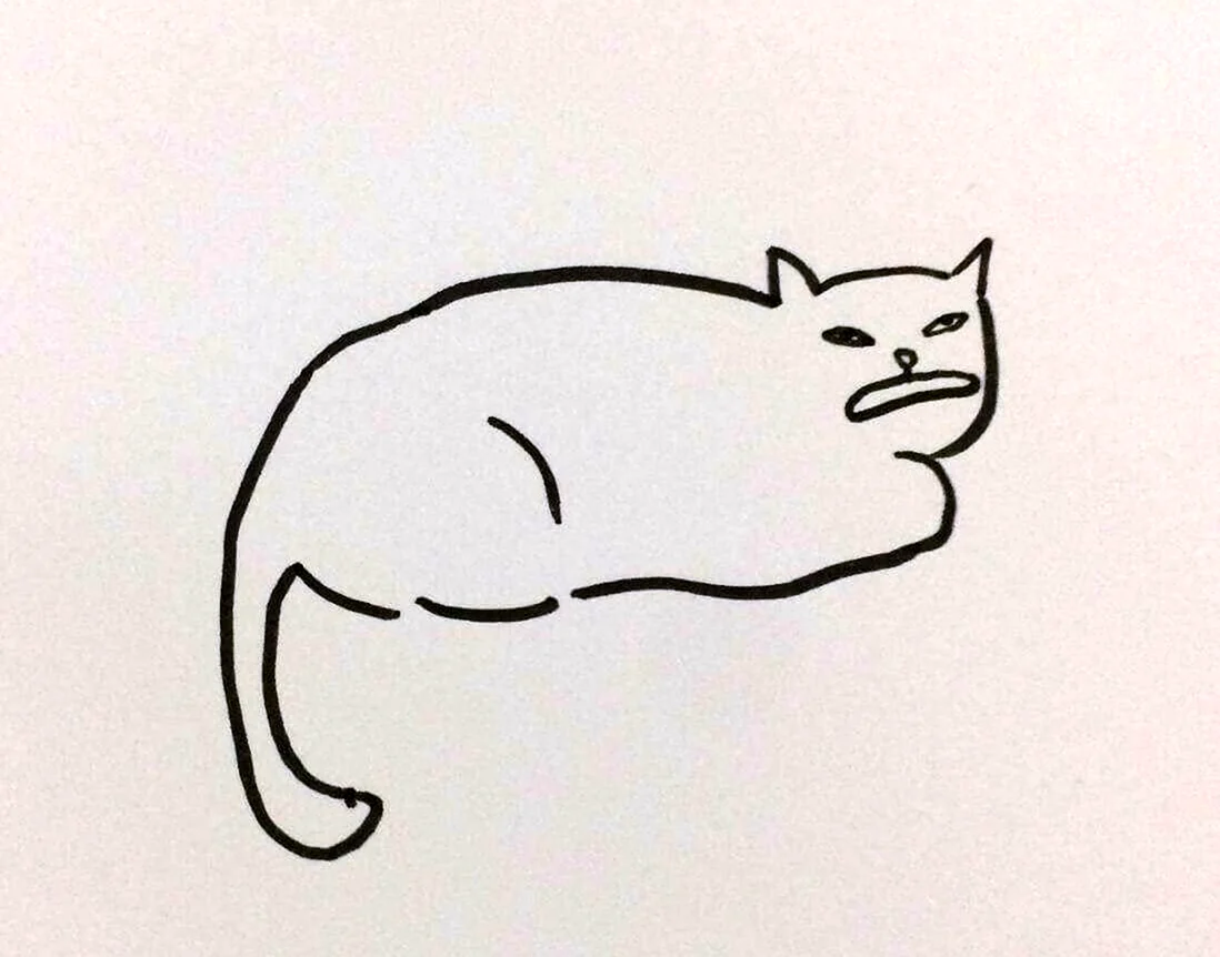 Кот рисунок простой. Красивые картинки животных