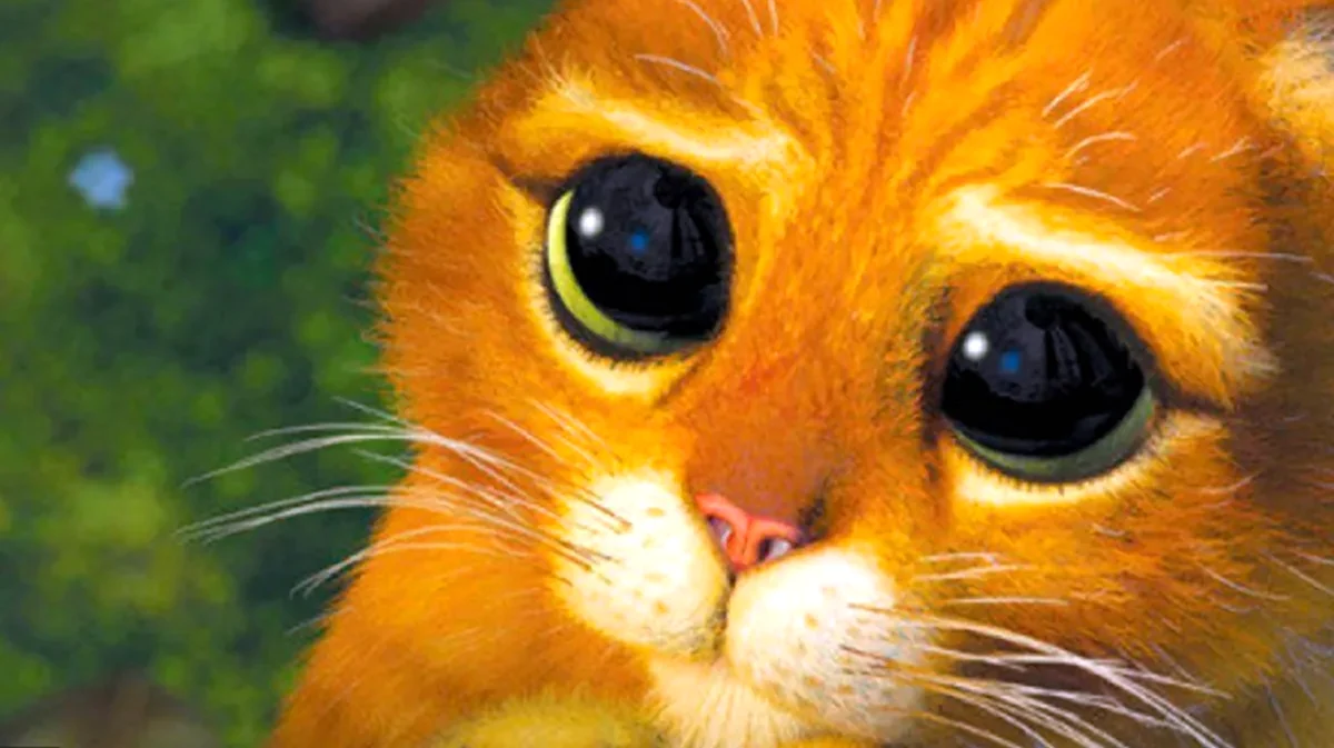 Кот Шрек глаза. Красивое животное