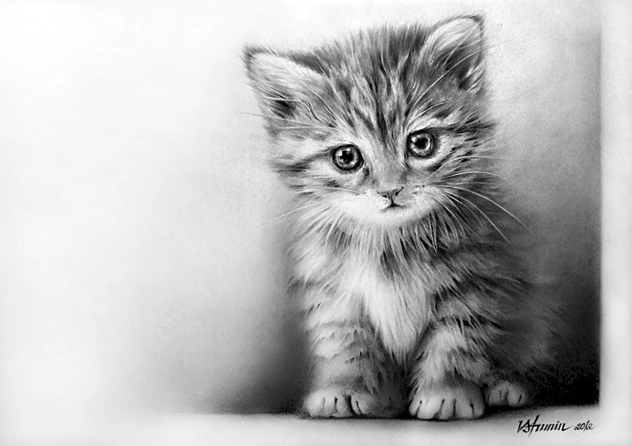 Котенок рисунок. Красивое животное