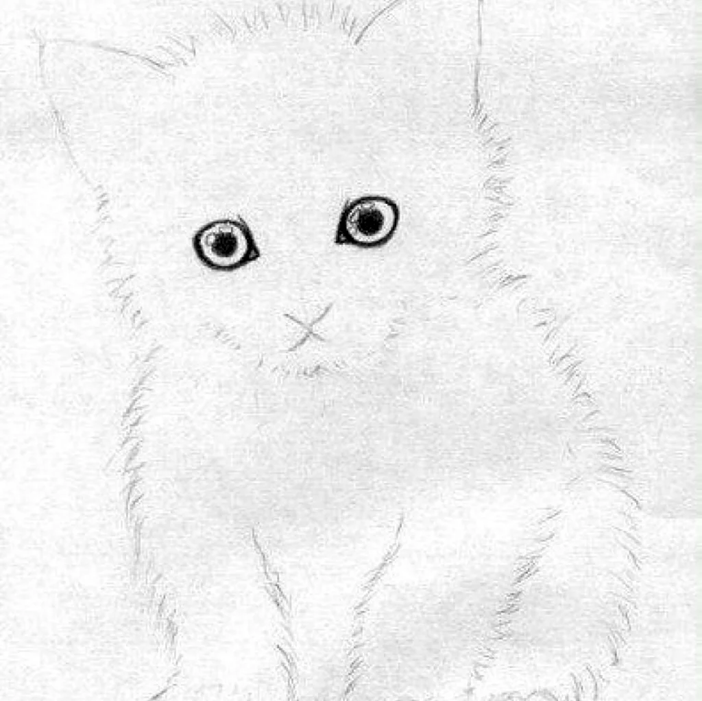 Котёнок рисунок карандашом. Для срисовки