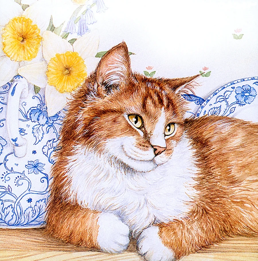 Коты Дебби Кук. Красивые картинки животных