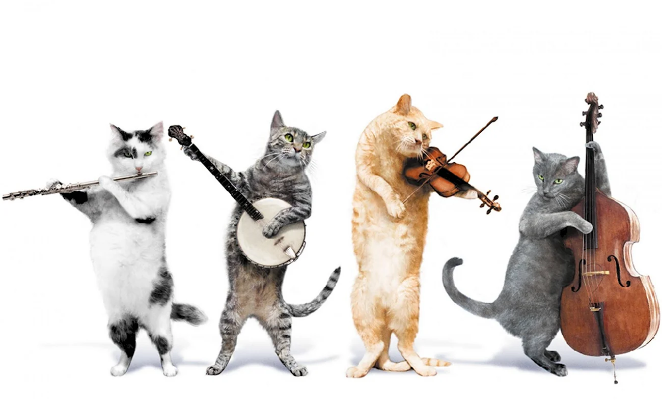 Коты играющие на музыкальных инструментах. Поздравление