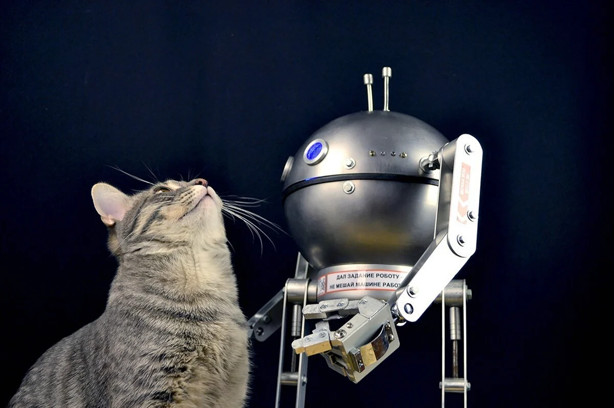 Коты роботы. Прикольная картинка
