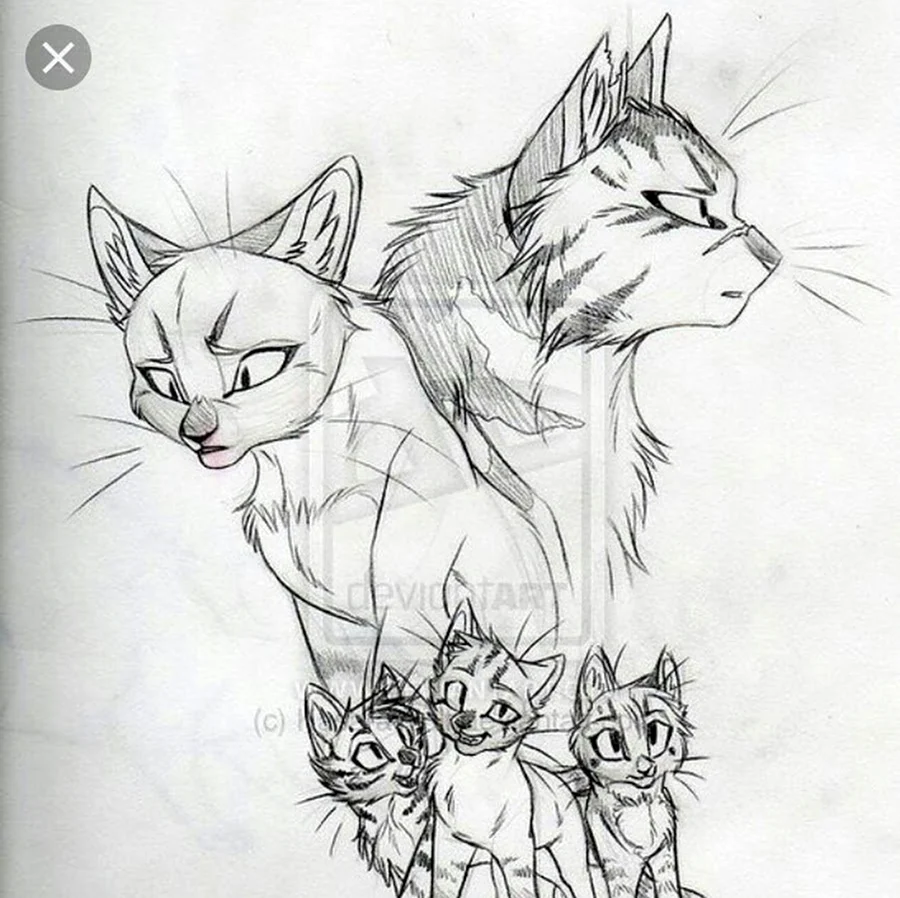 Коты Воители Звездоцап и Саша. Для срисовки