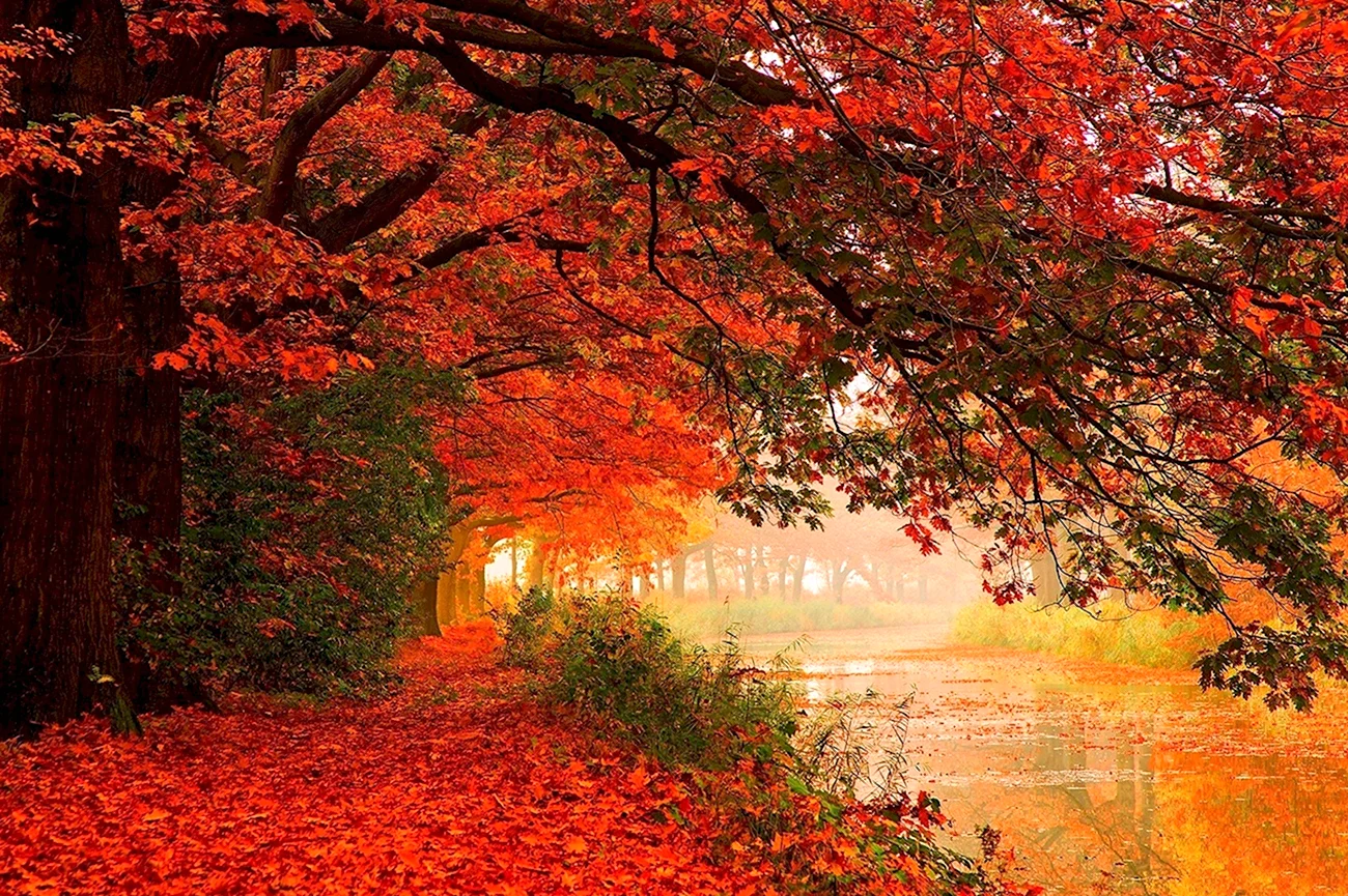 Красивая осень. Красивая картинка