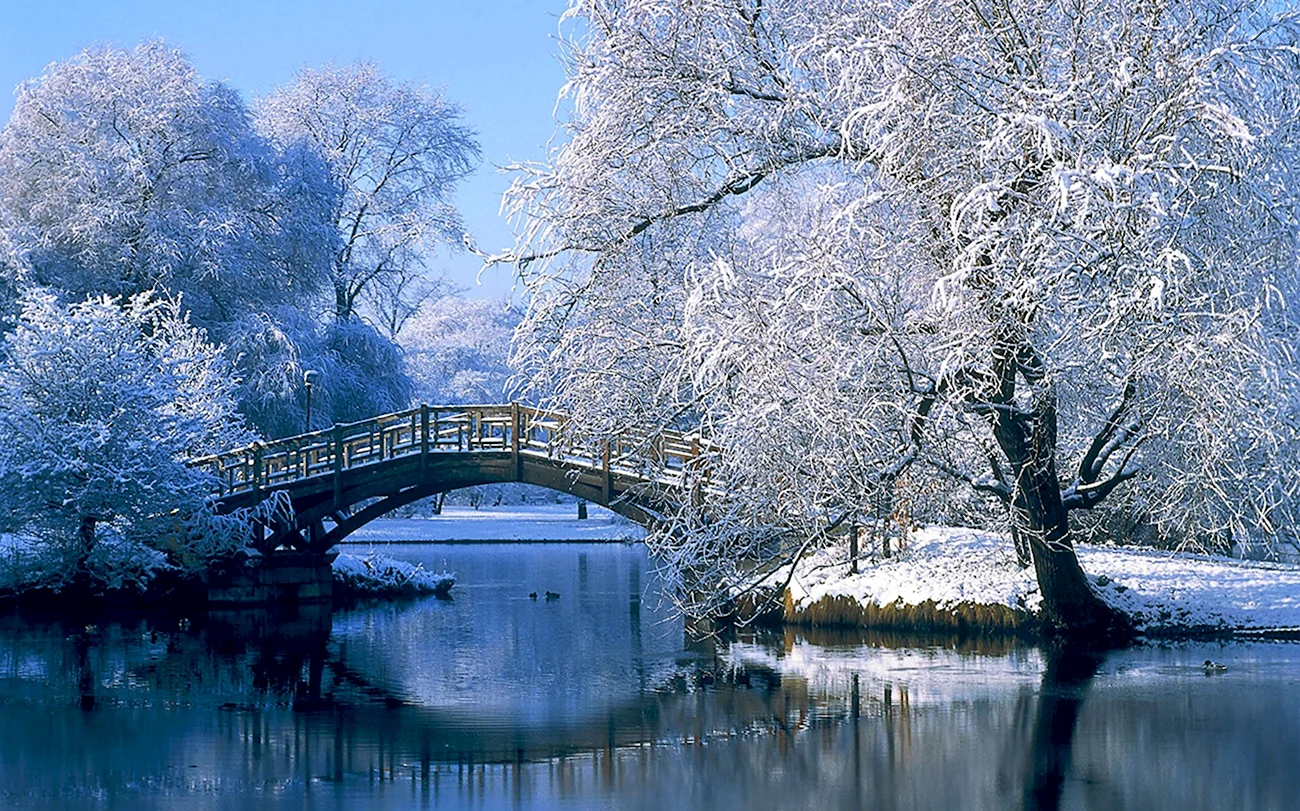 Красивая зима. Красивая картинка