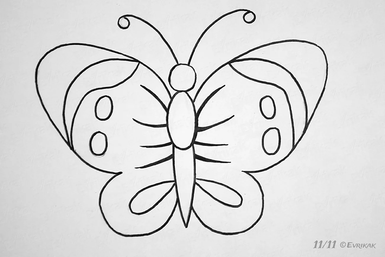 Красивые бабочки для срисовки. Для срисовки