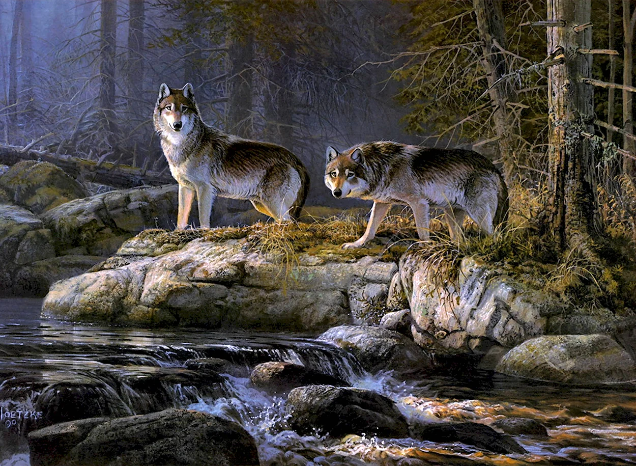 Красивые пейзажи с волками. Красивое животное
