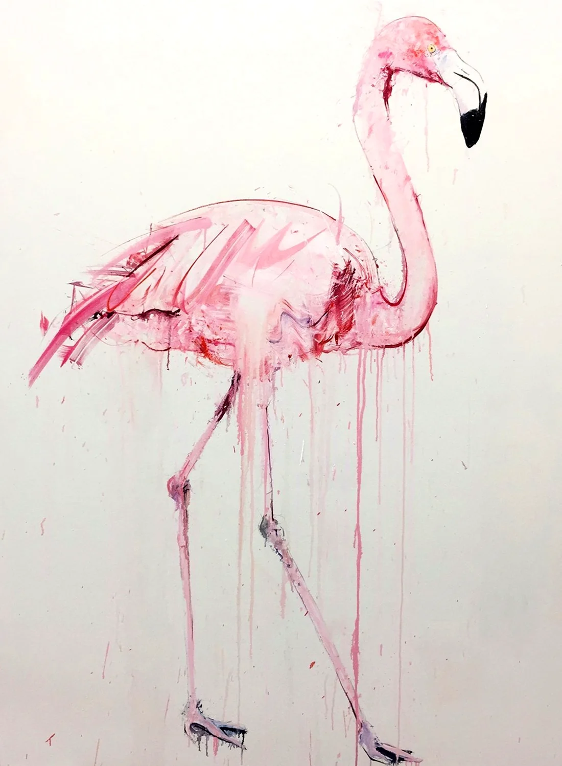Красивые рисунки Фламинго. Для срисовки
