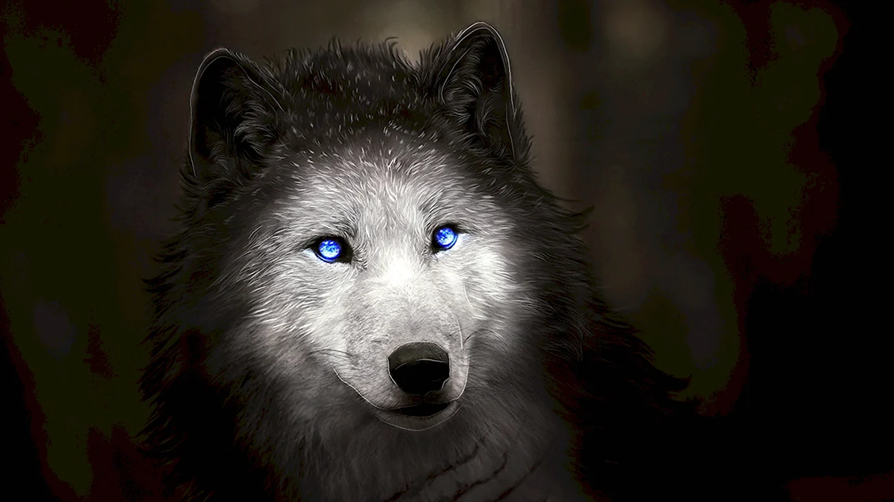 Красивый волк. Красивая картинка