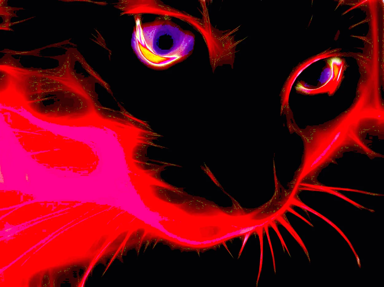 Красный кот. Красивое животное