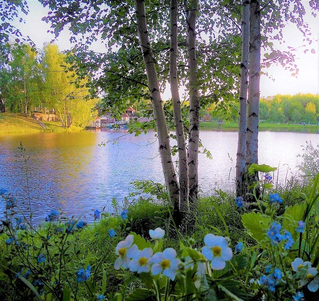 Красота русской природы. Открытка с добрым утром