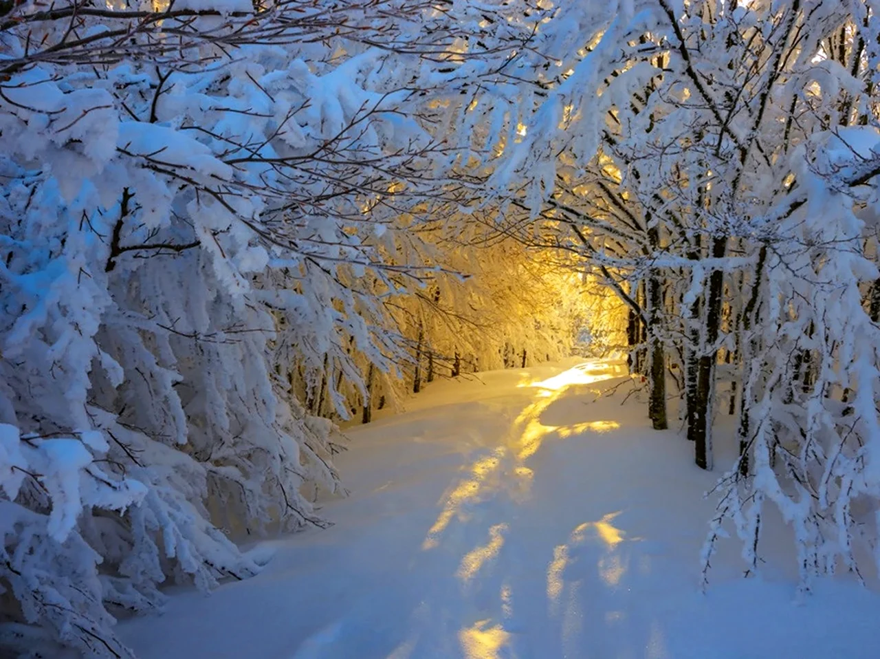 Красота зимы. Красивая картинка