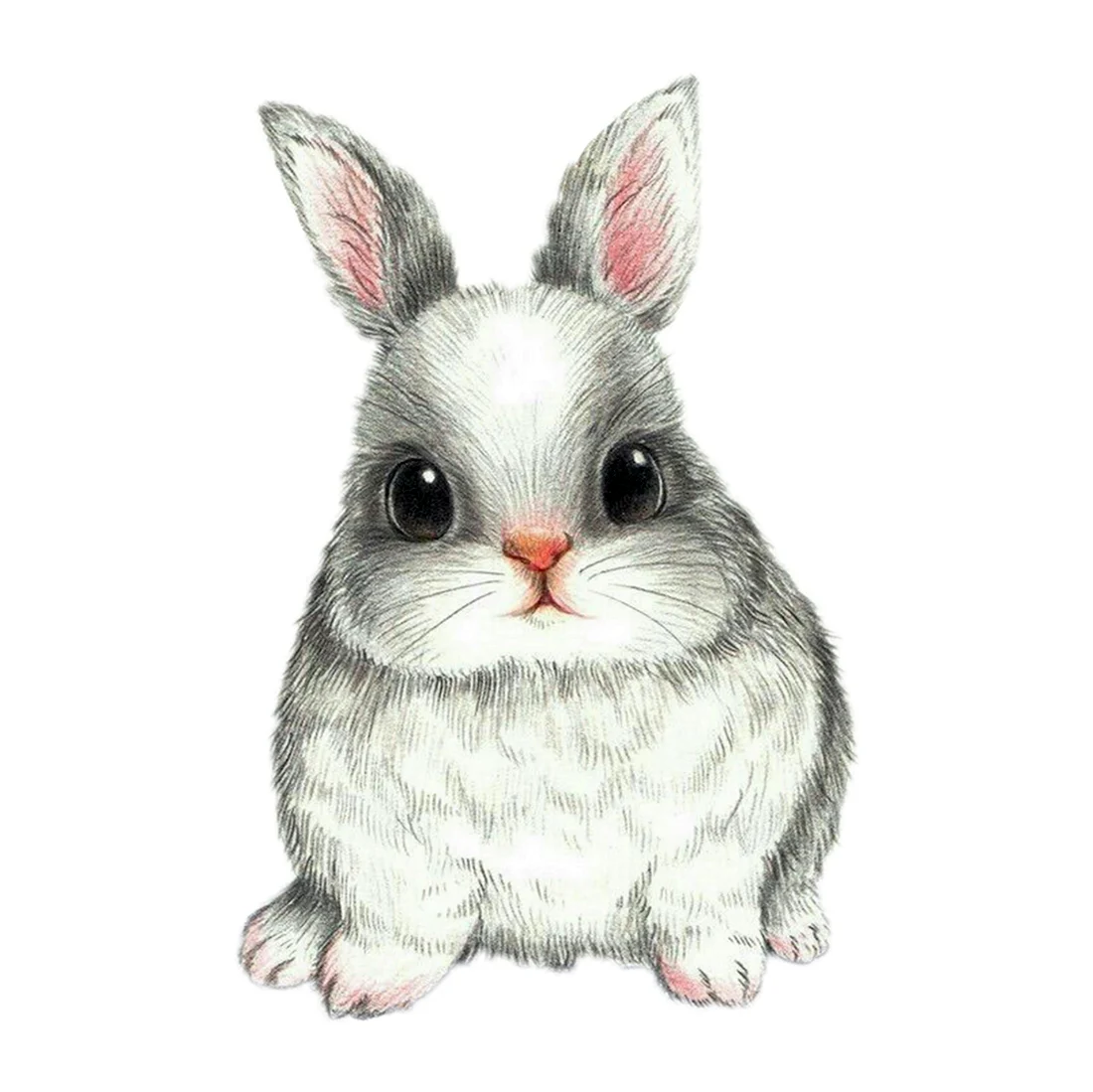 Кролик рисунок. Красивые картинки животных