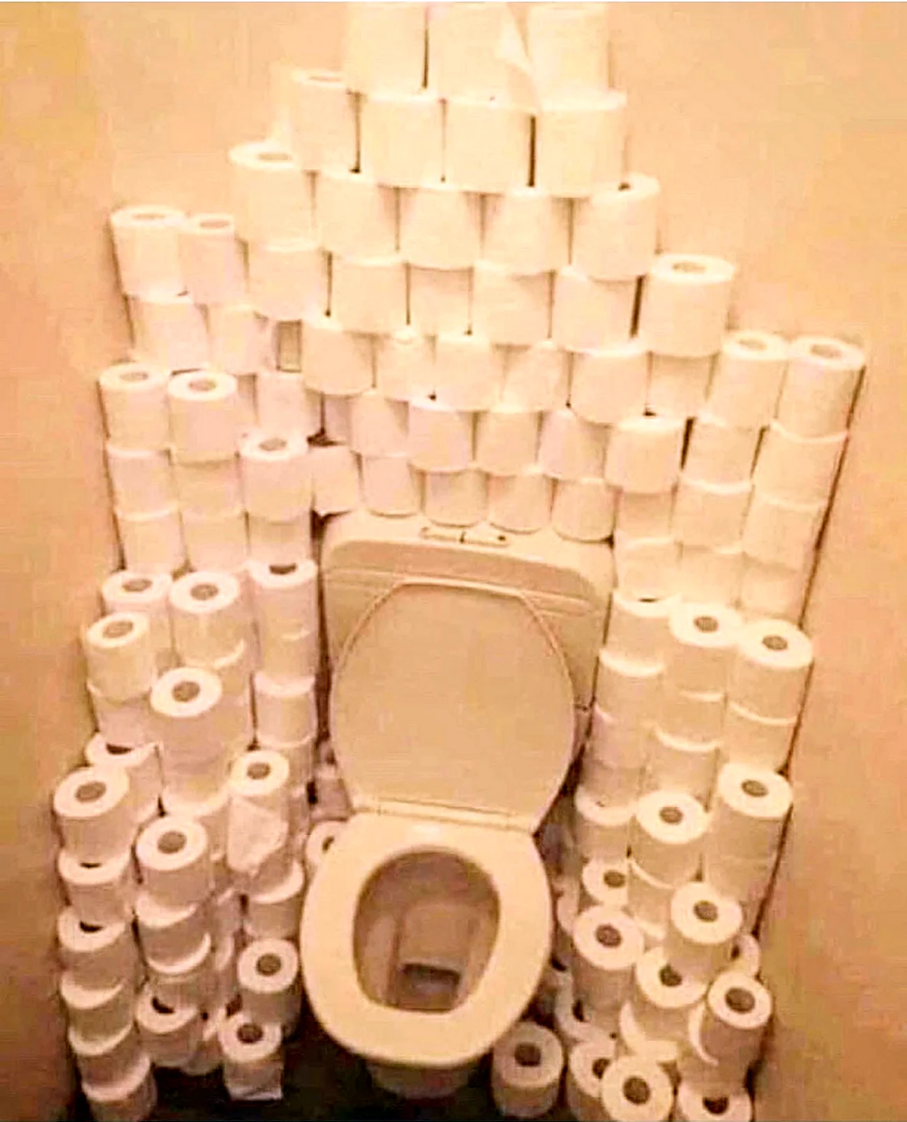 Куча туалетной бумаги. Прикольная картинка