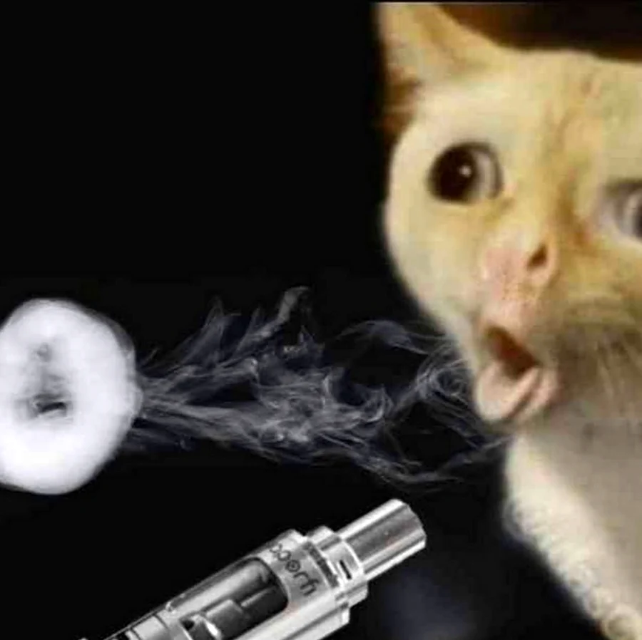Курящий кот. Прикольная картинка