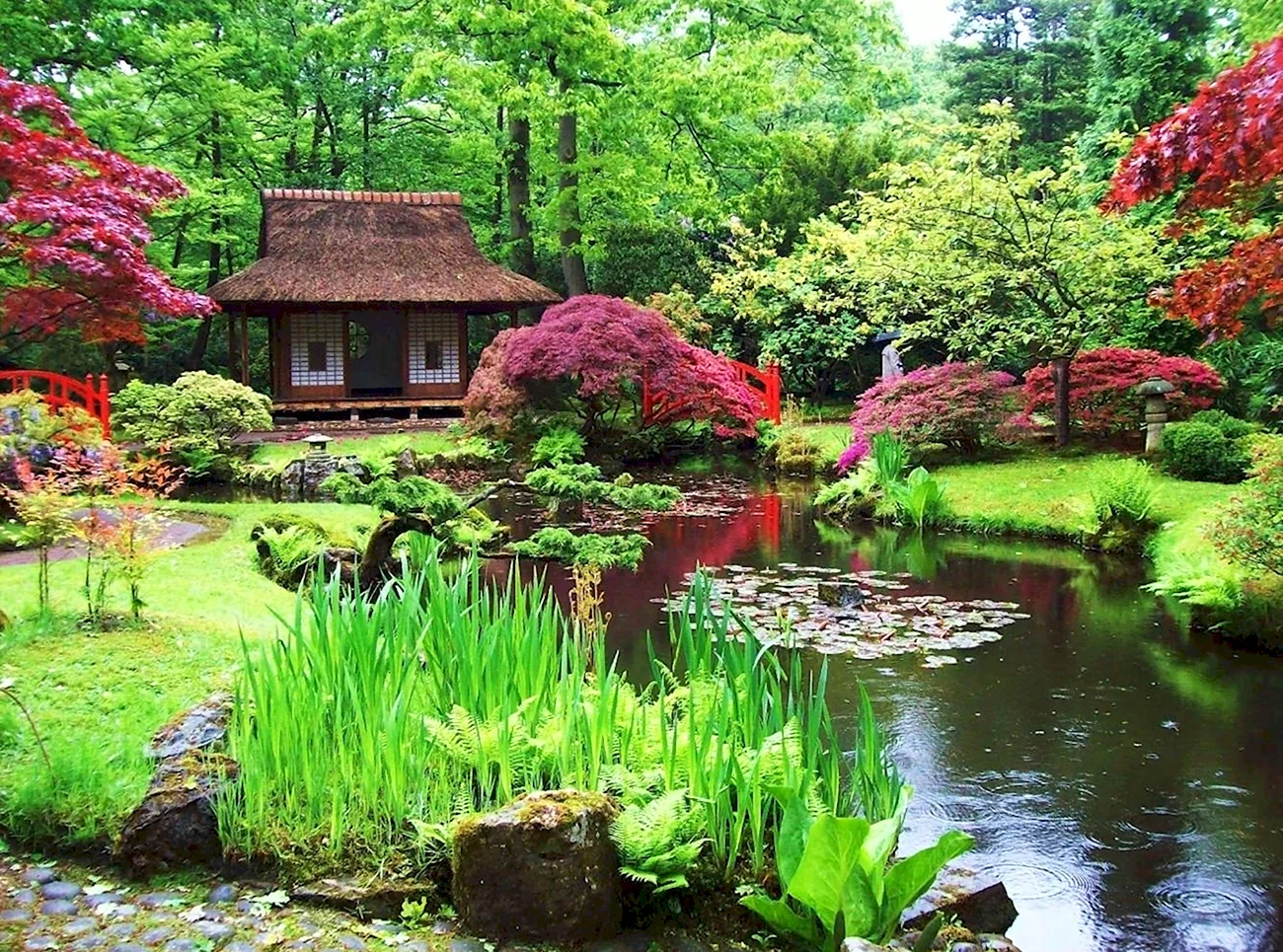 Ландшафтный пейзажный сад Японии. Красивая картинка