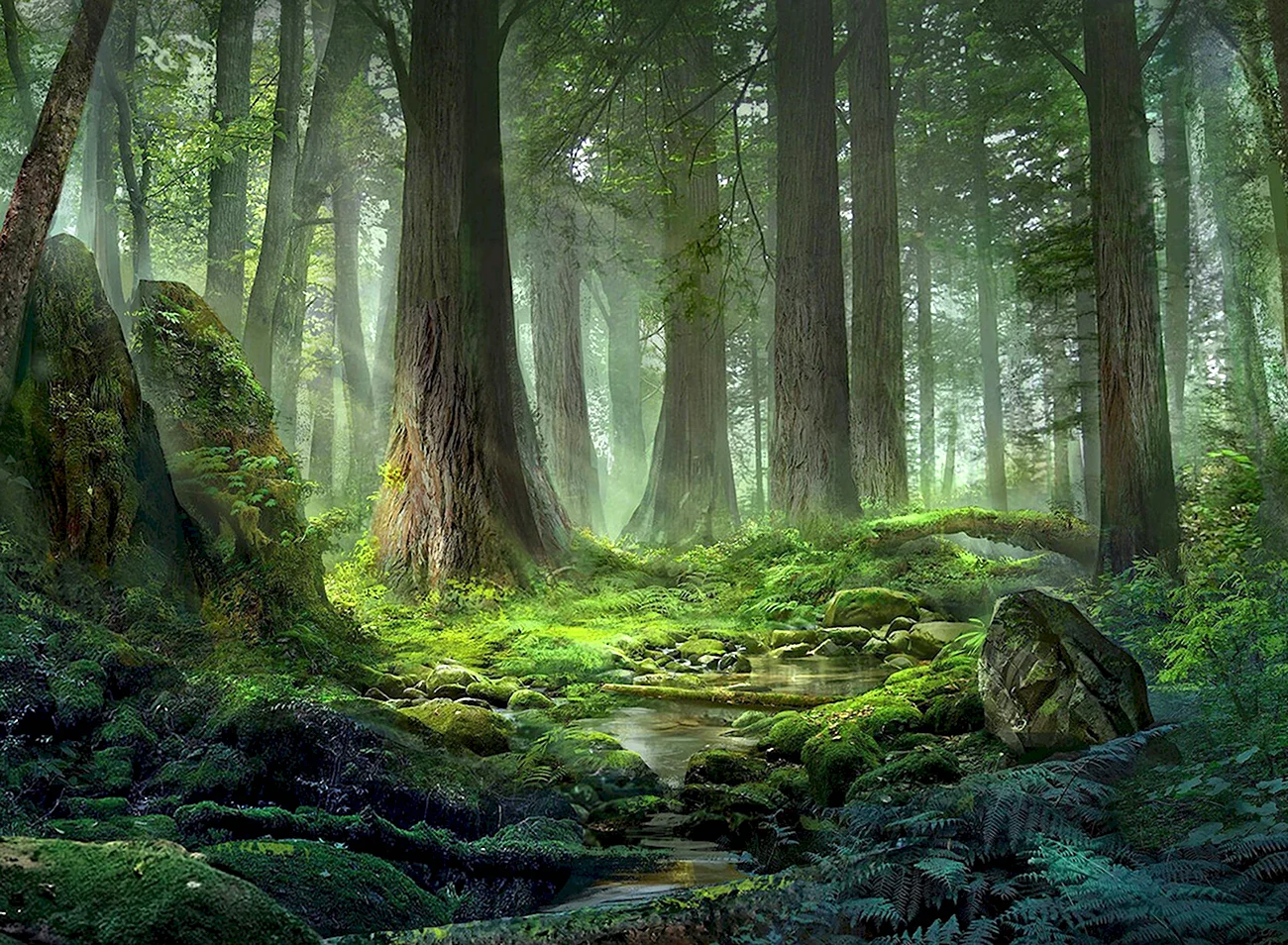 Лаурелорнский лес. Картинка