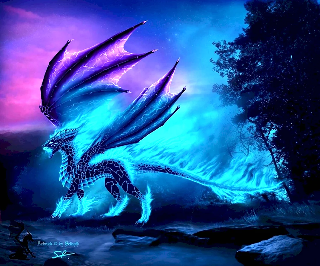 Лазурный дракон Сейрю. Красивые картинки животных