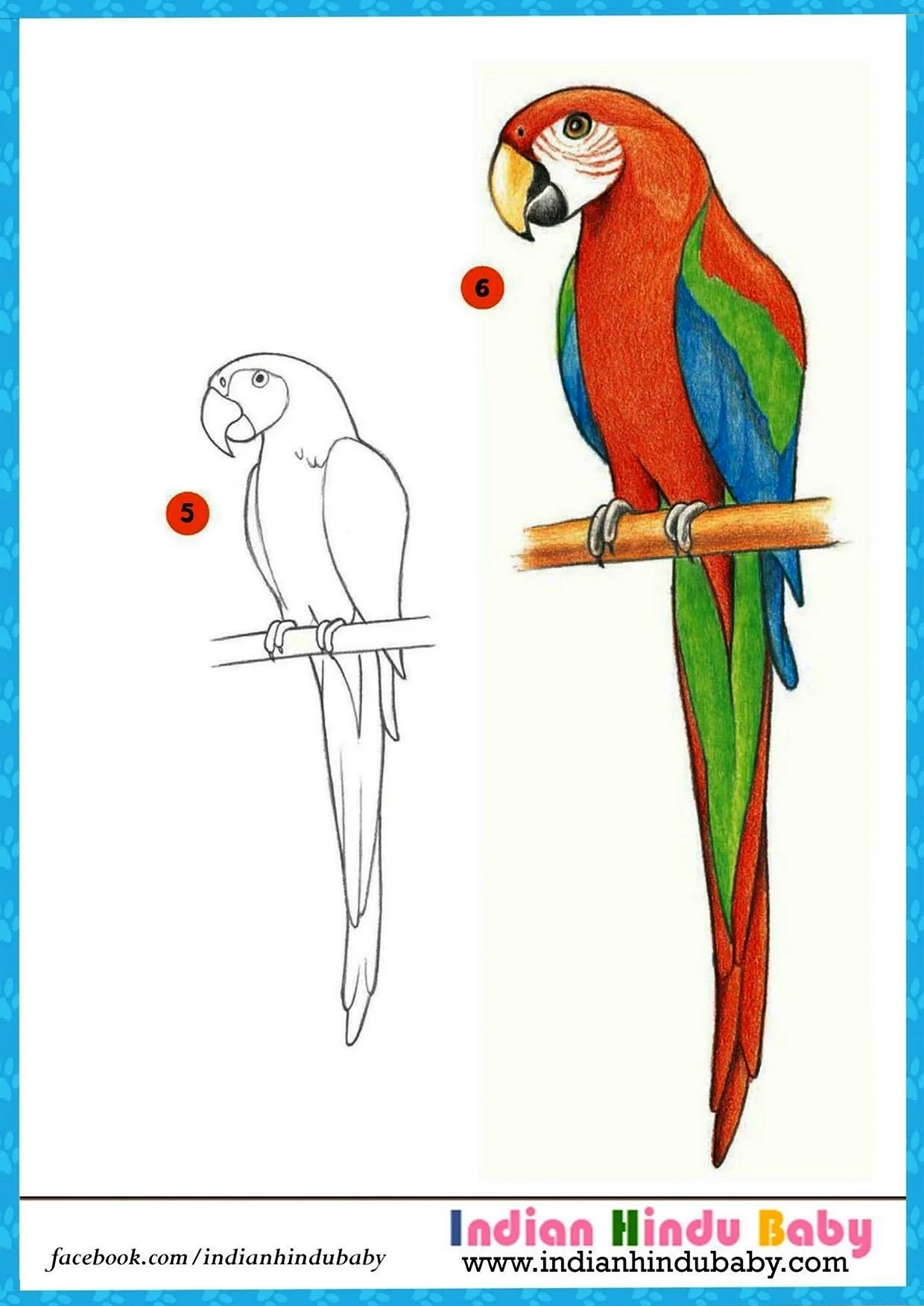 Лёгкие рисунки попугая. Для срисовки