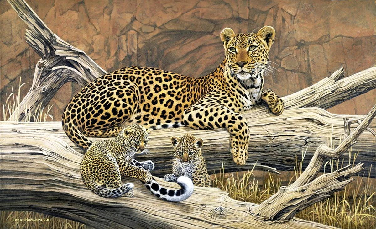 Леопард живопись. Красивое животное