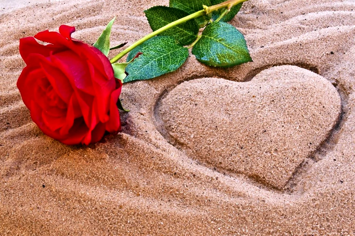 Лепестки роз на песке. Красивая картинка