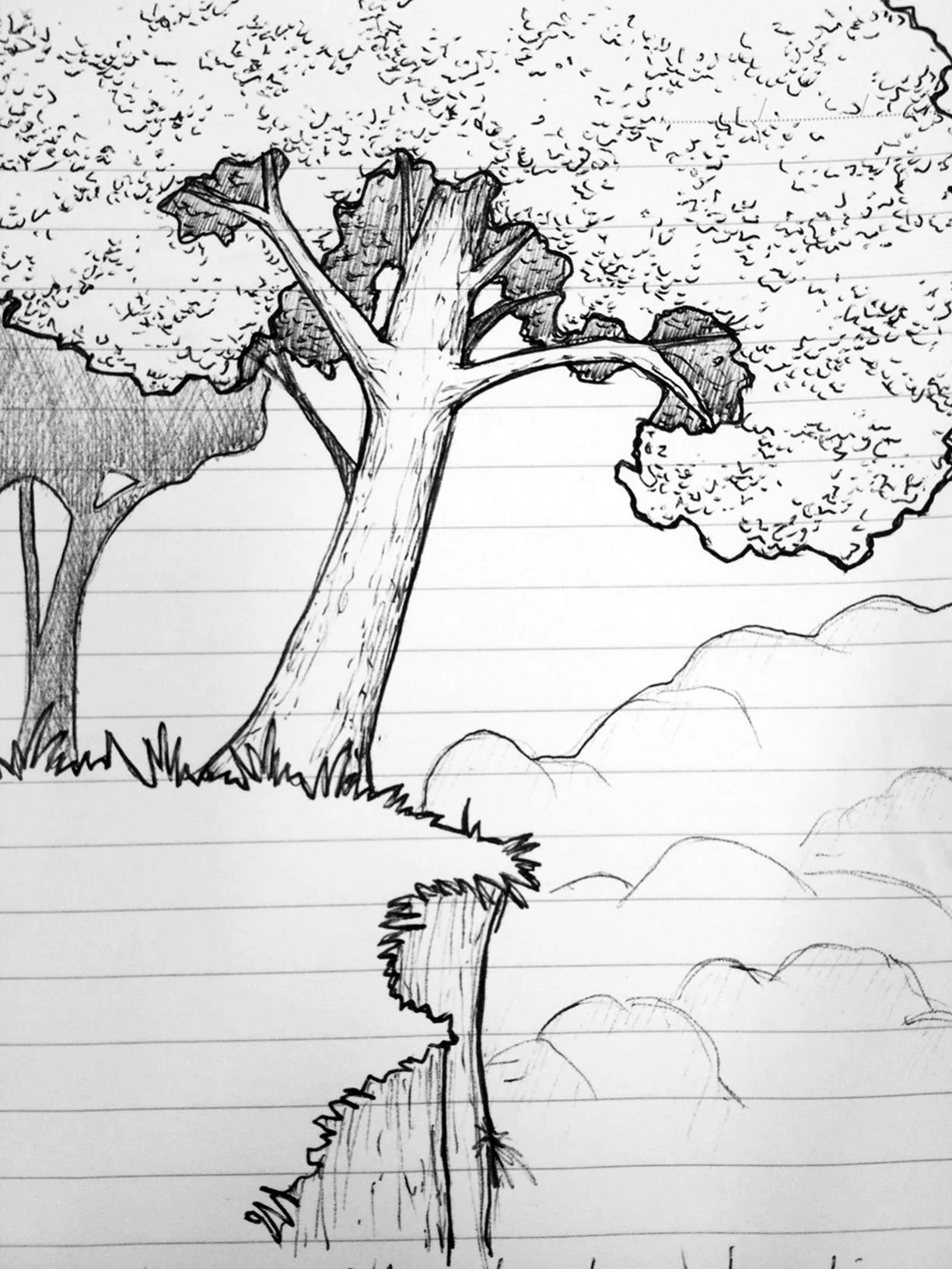Лес рисунок карандашом для срисовки. Для срисовки