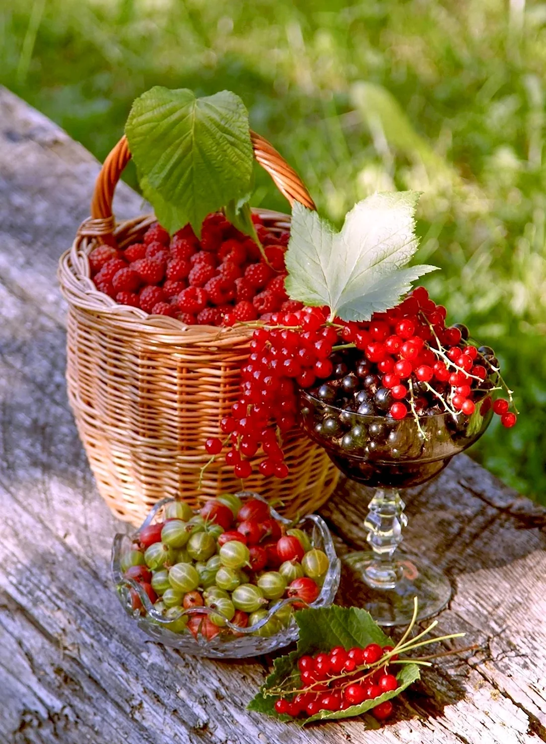 Летние ягоды. Открытка с добрым утром