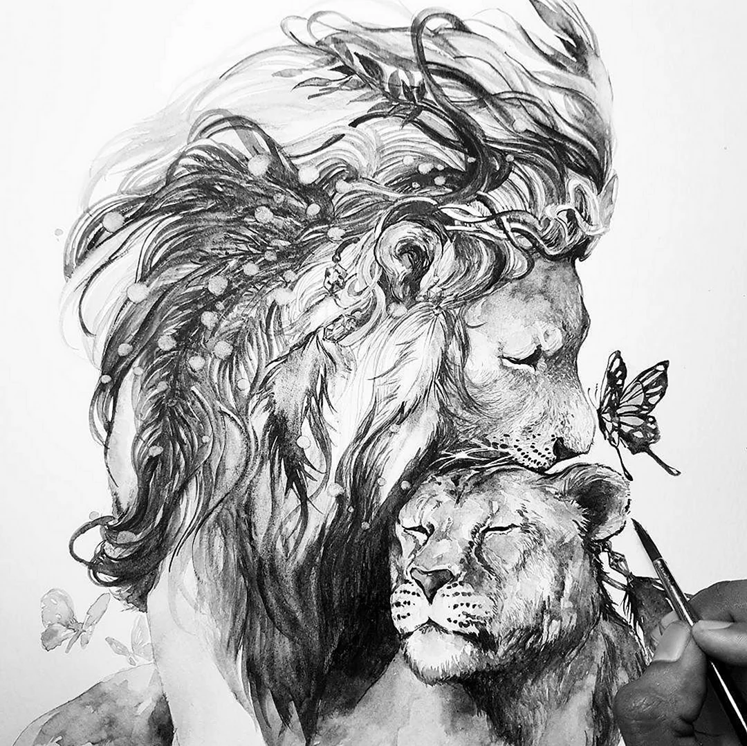 Лев и львица эскиз. Для срисовки