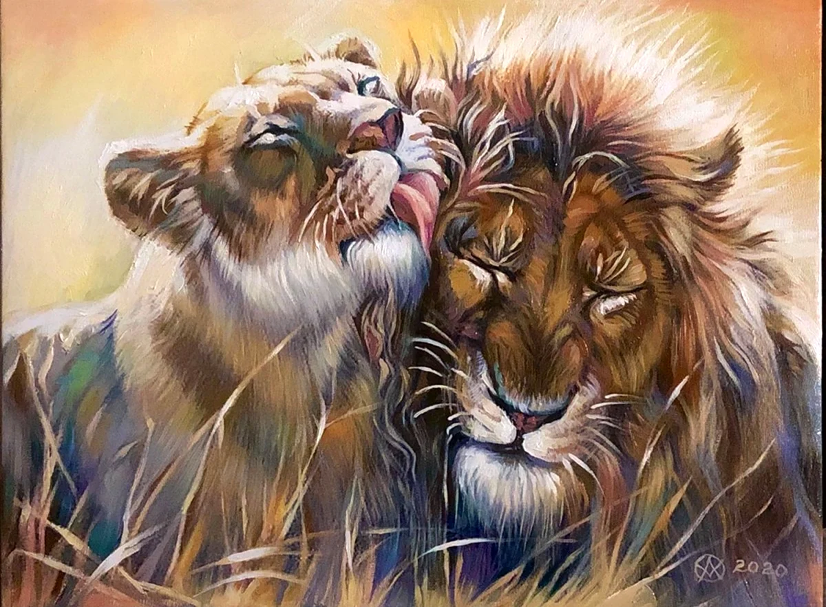 Лев и львица с надписями. Красивая картинка