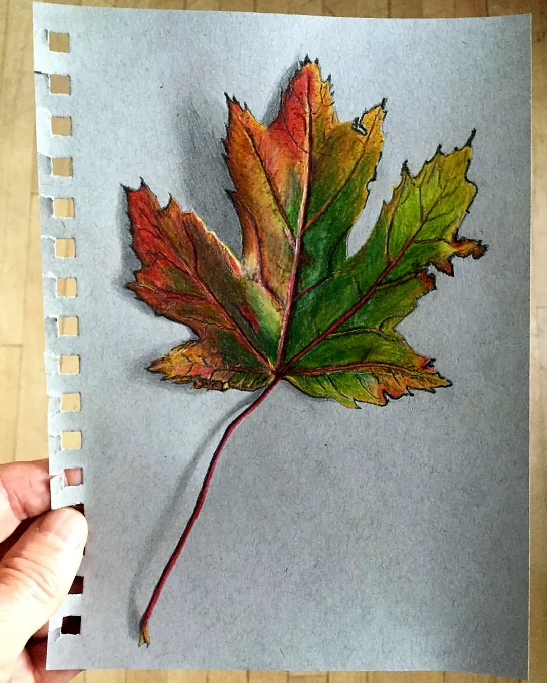 Листья цветными карандашами. Картинка