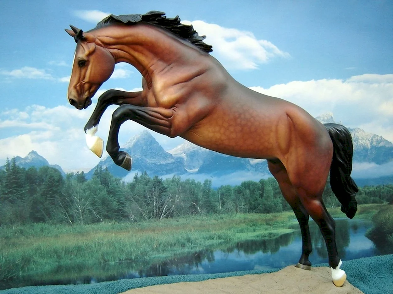 Лошадь. Красивое животное