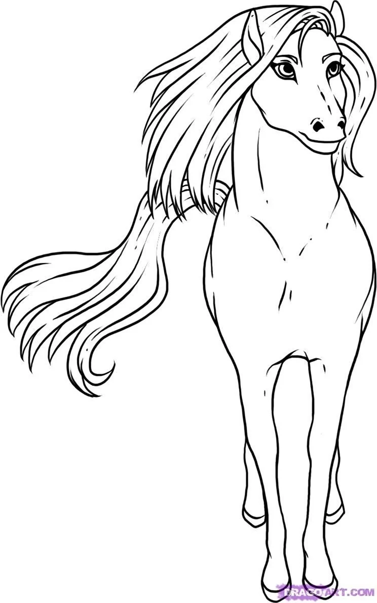 Лошадь рисунок. Для срисовки